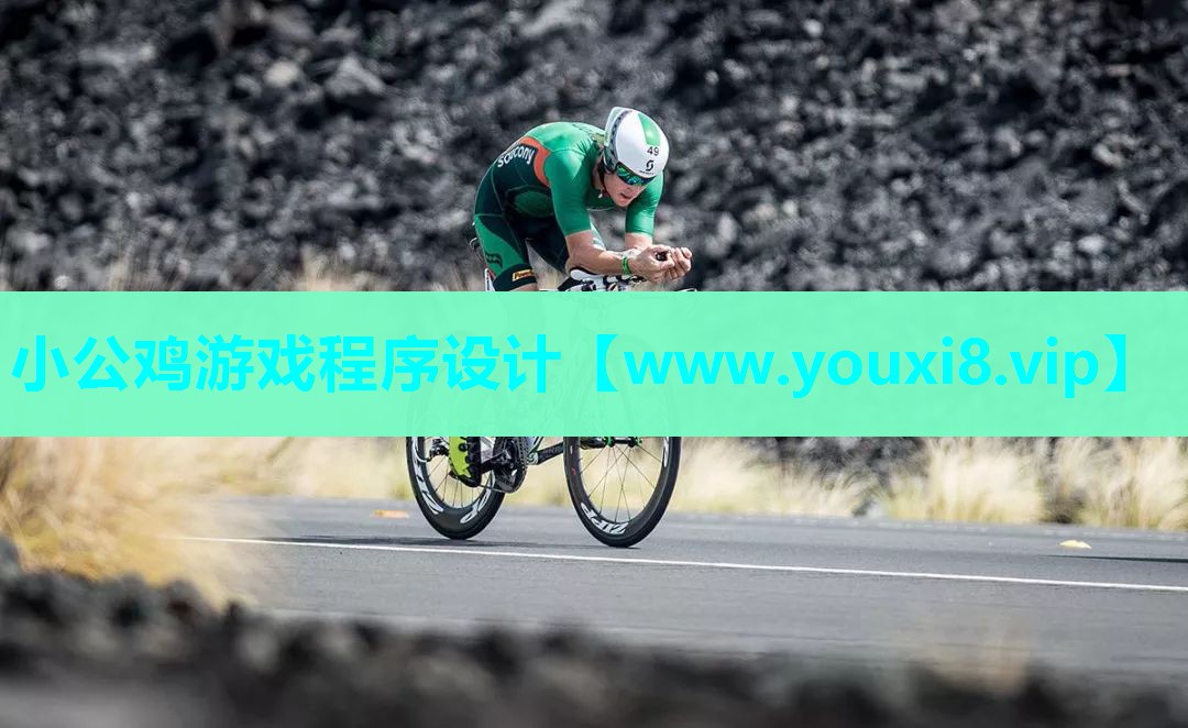 小公鸡游戏程序设计